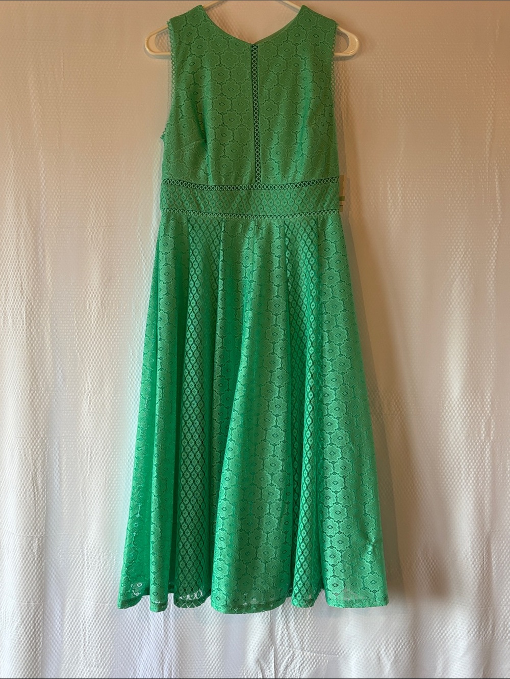 Sleeveless Green Lace Fit-and-Flare Dress